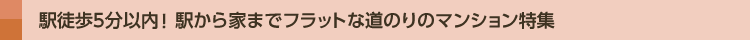 5ʬ⡪ؤȤޤǥեåȤƻΤΥޥ󥷥ý