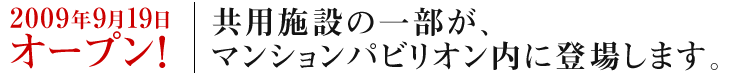 2009ǯ919ץ󡪶ѻߤΰޥ󥷥ѥӥꥪо줷ޤ