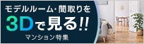 3Dǥǥ롼ּ꤬ǧǤޥ󥷥ý