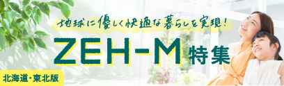 ϵͥŬ餷¸ZEH-Mý